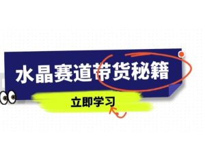 水晶赛道带货秘籍，国学结合、短视频起号、拍摄技巧、直播话术等内容-参一网创
