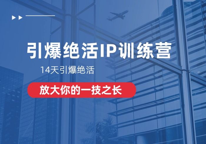 引爆绝活IP训练营，14天引爆绝活，放大你的一技之长-参一网创