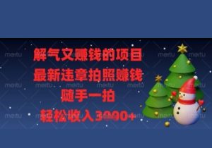 解气又挣钱的项目，最新违章拍照挣钱，随手一拍，轻松收入多张【揭秘】-参一网创
