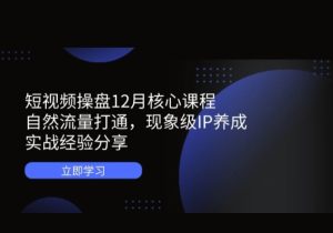 短视频操盘12月核心课程：自然流量打通，现象级IP养成，实战经验分享-参一网创