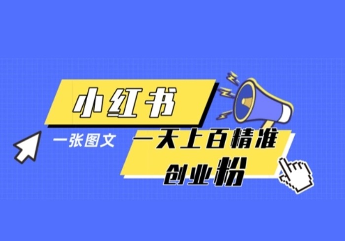 小红书模版一张图片一天轻松引流上百创业粉-参一网创