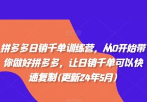 拼多多日销千单训练营，从0开始带你做好拼多多，让日销千单可以快速复制(更新25年4月)-参一网创