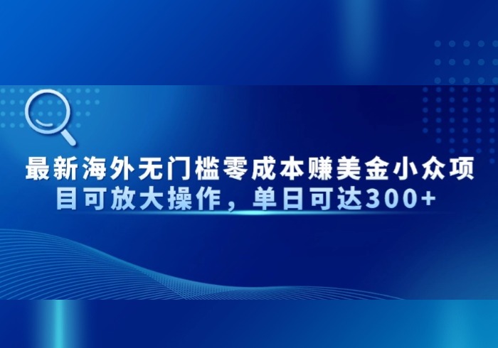 最新海外无门槛零成本赚美金小众项目可放大操作，单日可达300+-参一网创