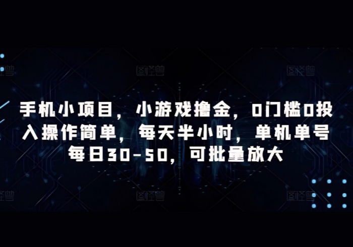 手机小项目，小游戏撸金，0门槛0投入操作简单，每天半小时，单机单号每日30-50，可批量放大-参一网创