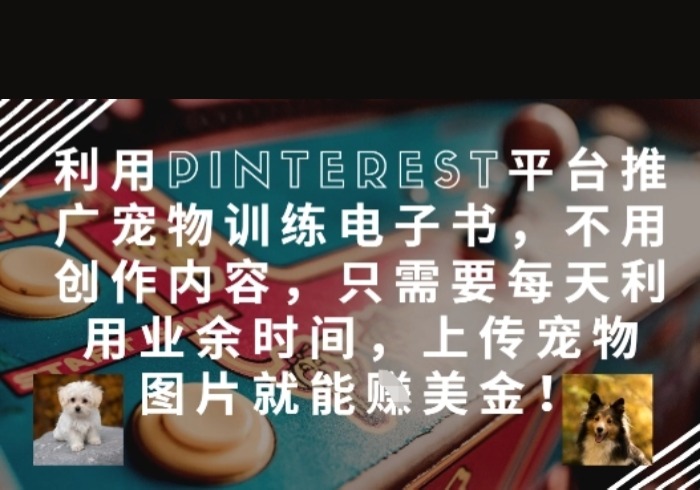 利用Pinterest平台推广宠物训练电子书，不用创作内容，只需要每天利用业余时间，上传宠物图片就能挣美金!-参一网创