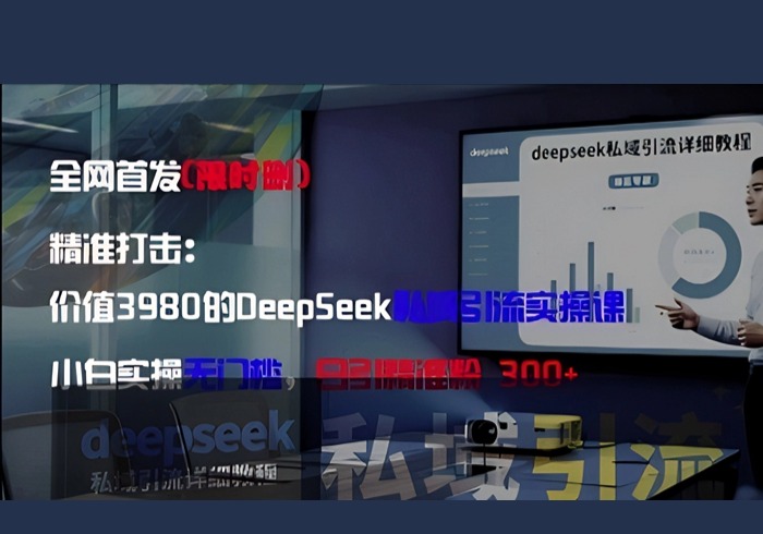 精准打击：价值3980的DeepSeek私域引流实操课，小白实操无门槛，日引精准粉300+-参一网创