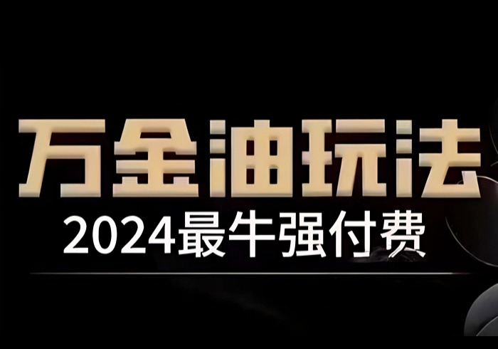 2024最牛强付费，万金油强付费玩法，干货满满，全程实操起飞(更新25年04月)-参一网创
