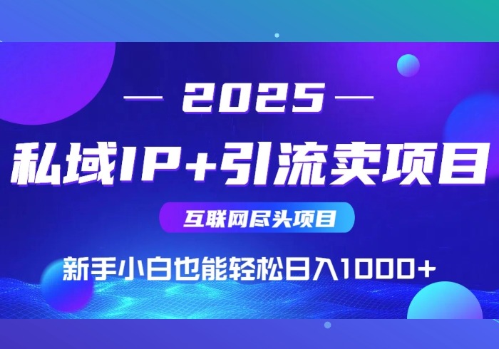 私域IP+卖项目，普通人小白也能轻松实现日入1000+-参一网创