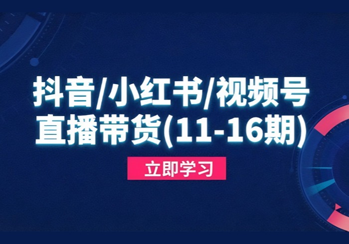 抖音/小红书/视频号/直播带货(11-16期-参一网创
