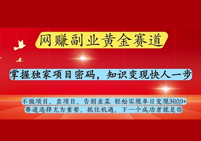 网创副业黄全赛道，掌握独家项目密码，知识变现快人一步，告别韭菜轻松实现单日变现1k+【揭秘】-参一网创
