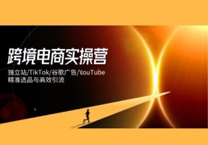 跨境电商实操营：独立站/TikTok/谷歌广告/YouTube，精准选品与高效引流-参一网创
