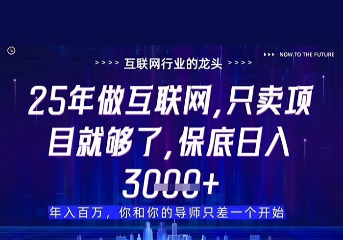 什么！25年你还在找项目做？风口早就变了，卖项目才是稳挣不赔【揭秘】-参一网创