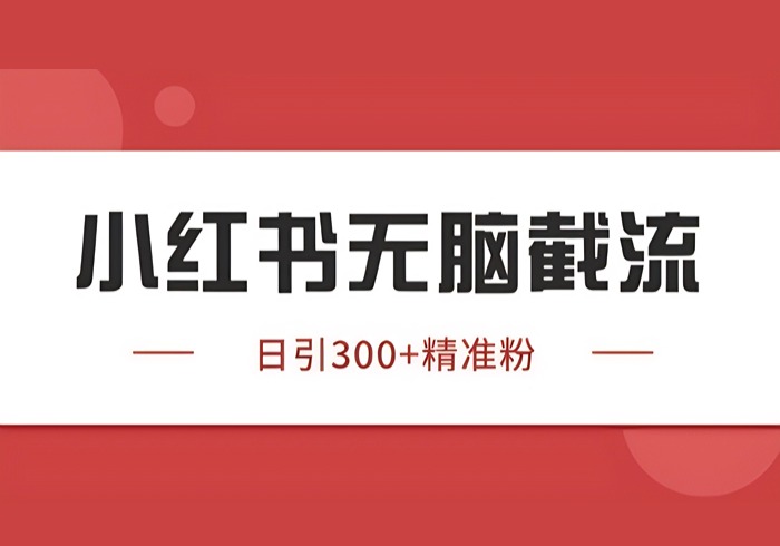 小红书只要你有同行就能获客，独家野路子获客玩法，暴力截流【揭秘】-参一网创