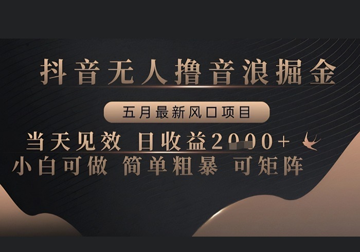 抖音无人撸音浪掘金，五月最新风口项目，当天见效，日收益多张，小白可做简单粗暴可矩阵【揭秘】-参一网创