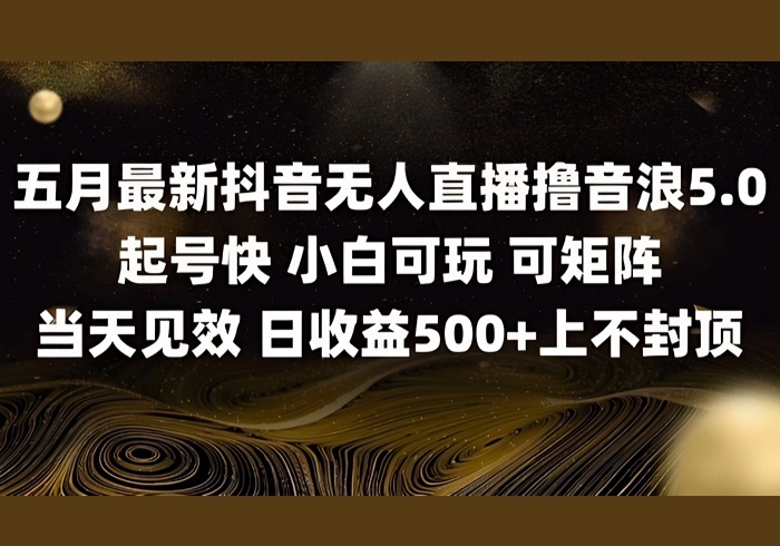 2025五月最新无人直播撸音浪单日产出5张+实操教程【揭秘】-参一网创