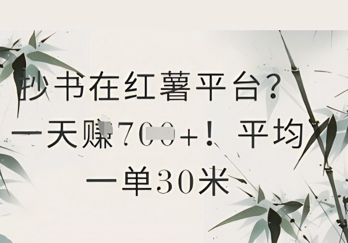 抄书在小红薯平台？平均一单30米，一天收益几张！-参一网创