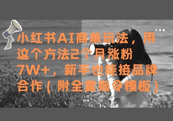 小红书AI商单玩法，用这个方法2个月涨粉7W+，新手也能接品牌合作(附全套指令模板)-参一网创