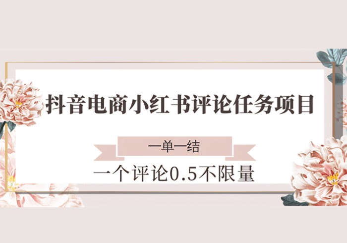 抖音电商小红书评论任务项目，一个评论0.5，一单一结 不限量-参一网创