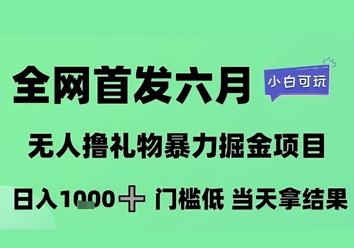 全网首发六月，无人撸礼物暴力掘金项目，日入1K+门槛低，当天拿结果，小白可玩【揭秘】-参一网创