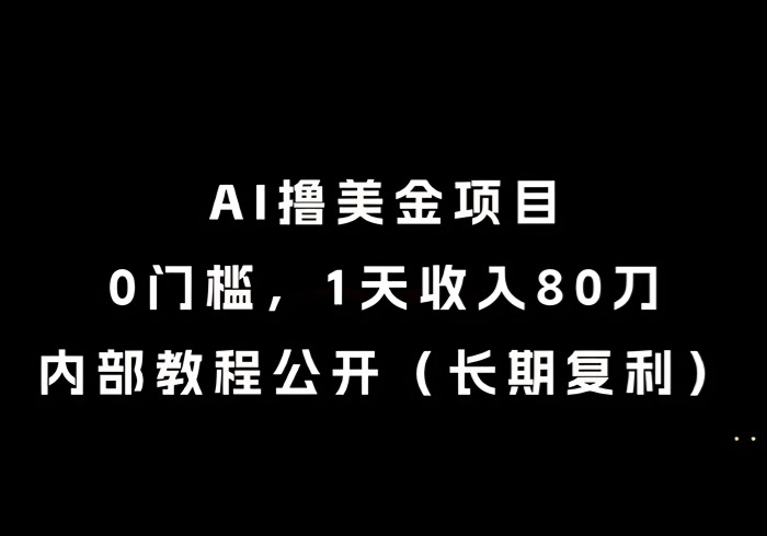 AI撸美金项目，0门槛，1天收入80刀，内部教程公开(长期复利)【揭秘】-参一网创